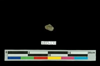 藏品(黃鐵礦)的圖片